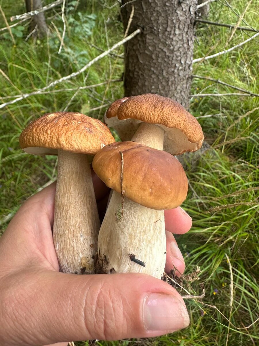 Фото автора.