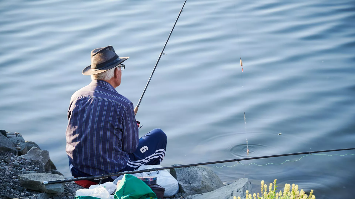 © photo: Sputnik / Stringer