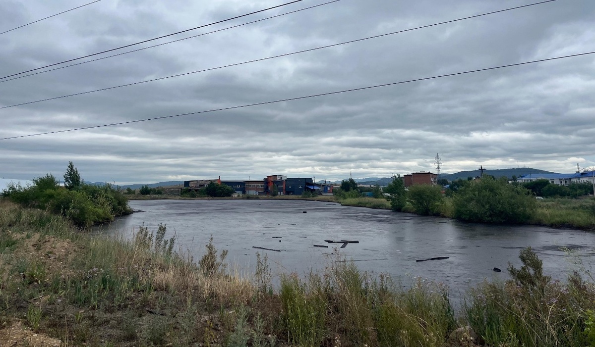    Фото: atommedia.online