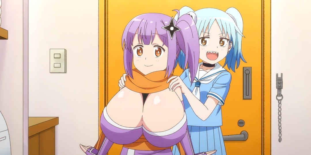 Комедийное аниме про повседневную жизнь дуэта из киллера и ниндзя