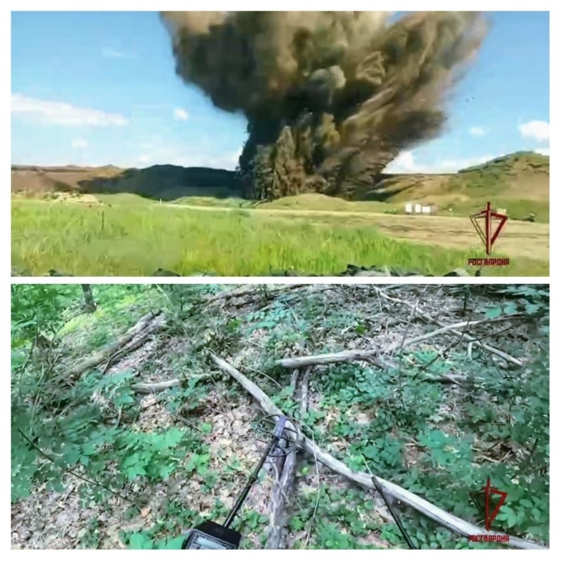    Российские спецслужбы продолжают отлавливать пособников киевского режима и предотвращать теракты