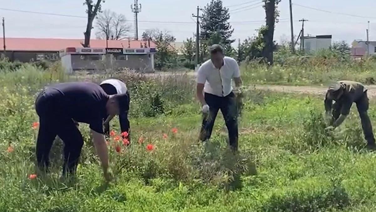     Источник: пресс-служба ГУ МВД России по Краснодарскому краю