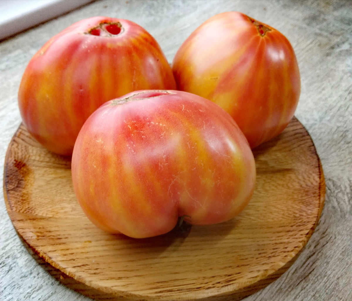 Фото автора от 23.07.2025г. Групповой портрет плодов томата Солнечный ветер.