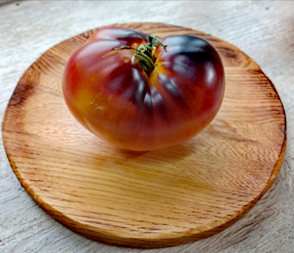 Фото автора от 23.07.2025г. Внешний вид плода со стороны плодоножки.