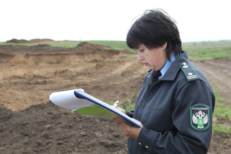    Фото: Управление Россельхознадзора по Ростовской области. Галина Ященко