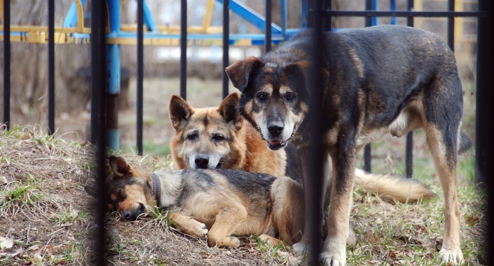    Медиасток.рф