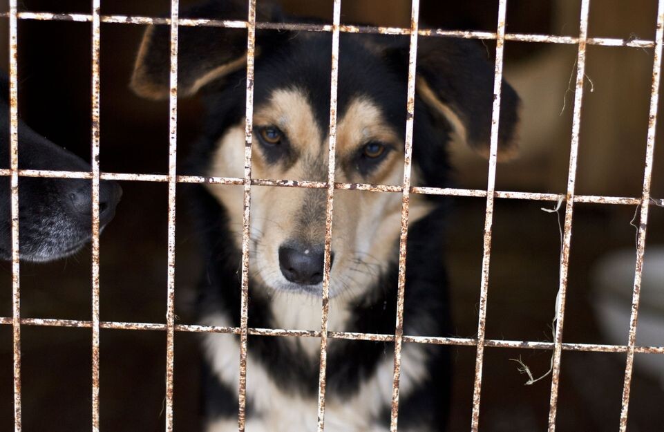    Медиасток.рф