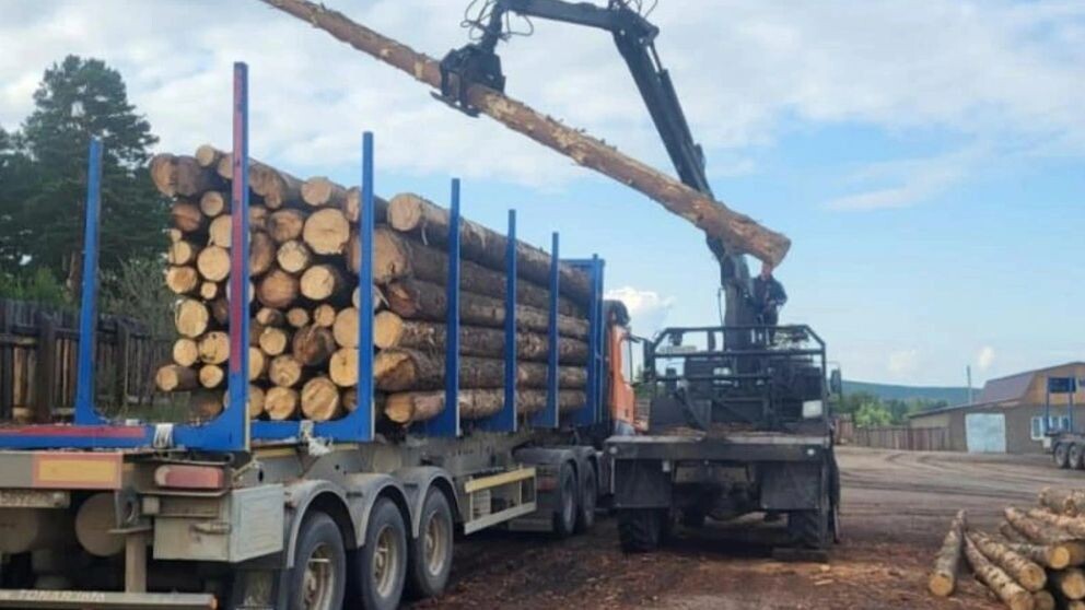    Фото: пресс-служба Минэкономразвития Забайкалья