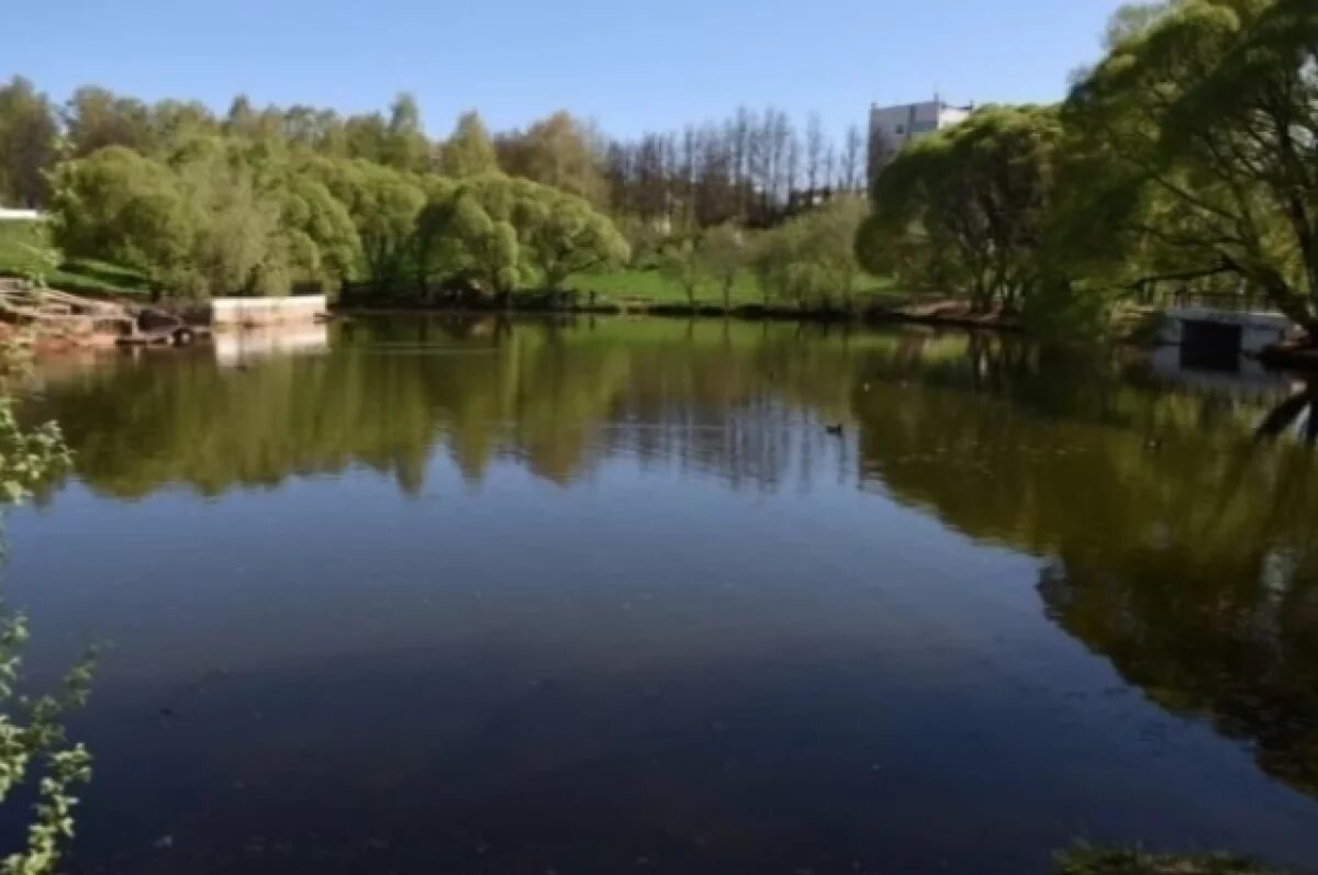    Тело вынесли на сушу 23 июля.