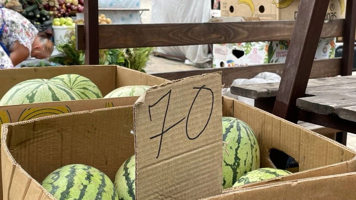     Источник: bel.ru