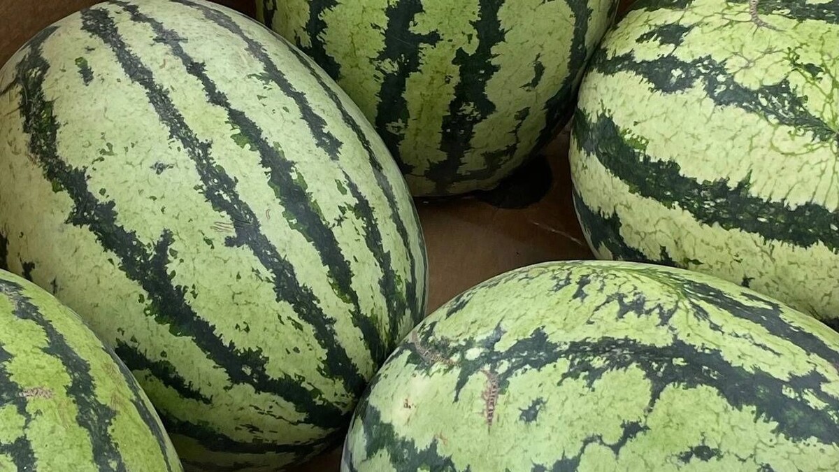     Источник: bel.ru