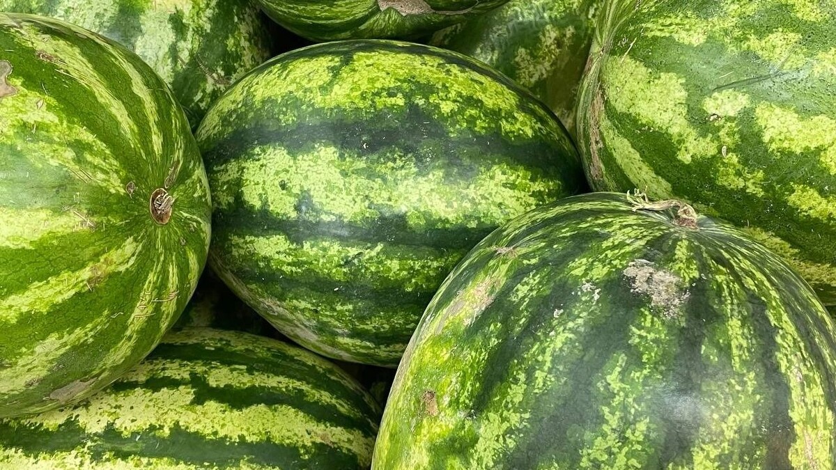     Источник: bel.ru