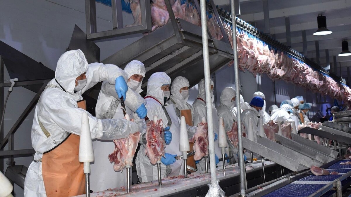     Автор: donland.ru