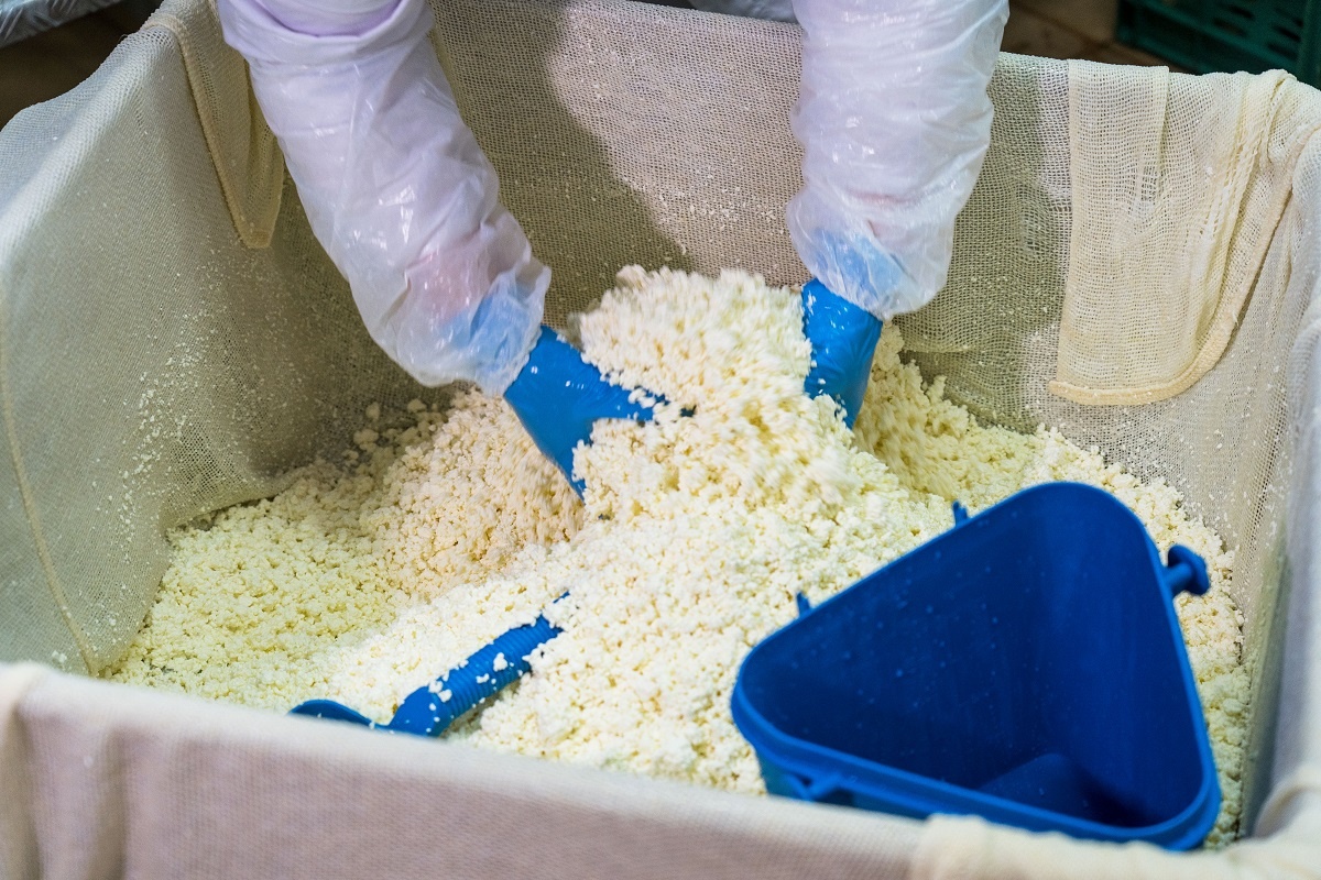 Фото: Александр Плонский / «ВиЖ»