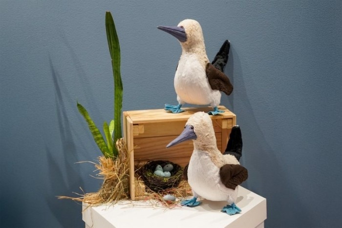    Фото: Дарвиновский музей