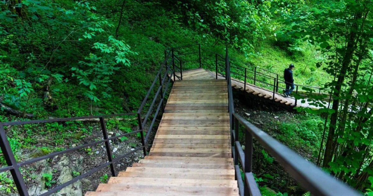 Фото: Андрей Прошунин / telegram