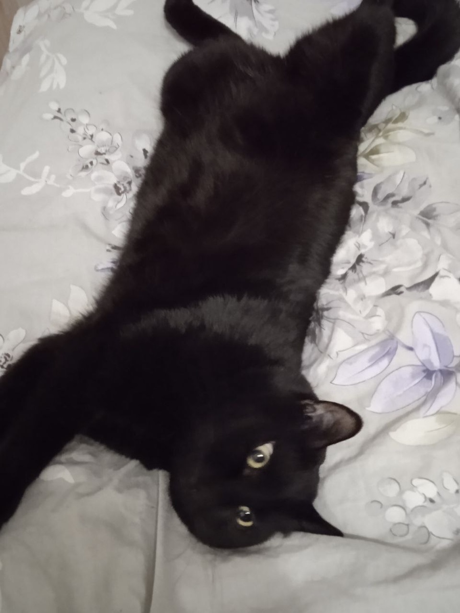 Фото автора.