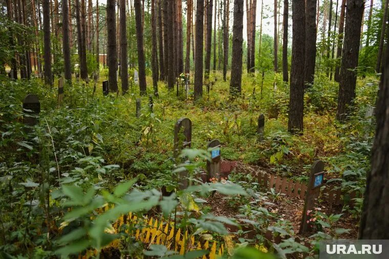 Захоронение домашних животных нарушает законодательство. Фото: Никита Сабашников © URA.RU