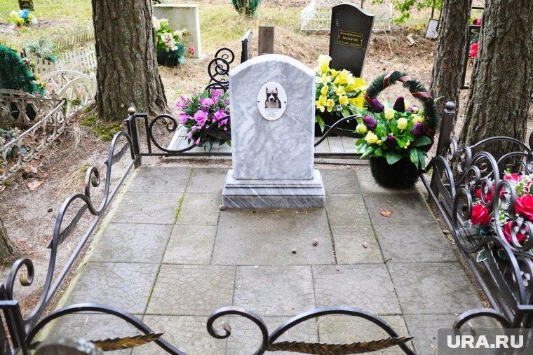 Приблизительная площадь кладбища, согласно картам, более 32 тысяч квадратных метров. На его территории установлены как обычные деревянные кресты, так и крупные участки с ограждениями, каменными плитами и мраморными камнями. Фото: Никита Сабашников © URA.RU