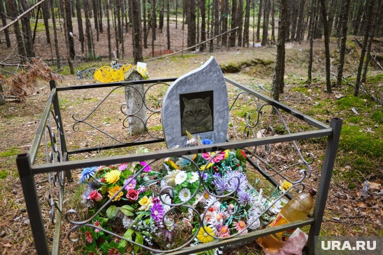 На большинстве обустроенных могилок до сих пор, даже спустя несколько лет с момента похорон, лежат цветы. Фото: Никита Сабашников © URA.RU