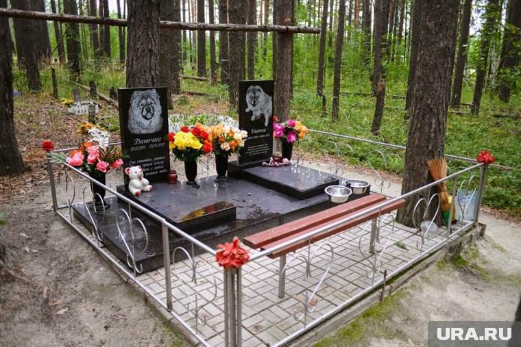 У части могилок установлены лавочки, как у людей. Фото: Никита Сабашников © URA.RU