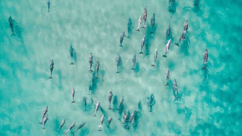    Фото: F Photography R/Shutterstock/Fotodom