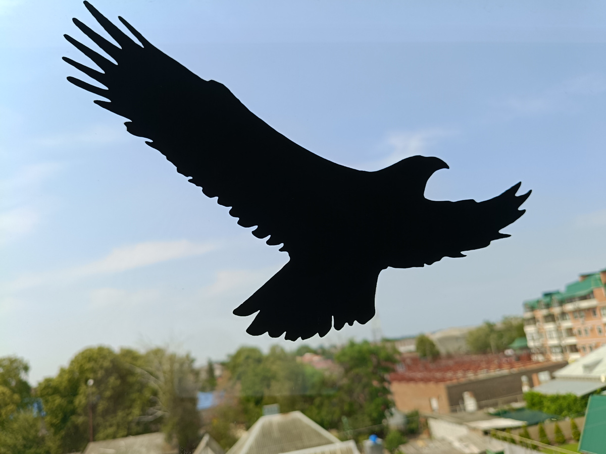 Одна, но в полёте