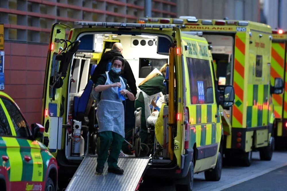 Источник https://avatars.mds.yandex.net/i?id=6aa3ef1d2be823dc0d4a5deb36c92778_l-6392895-images-thumbs&n=13