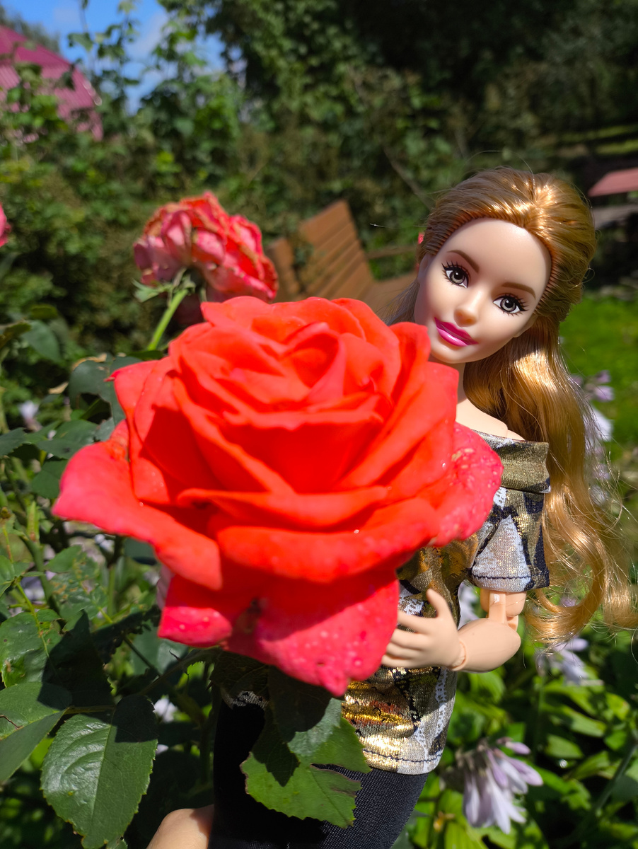 Шарлотта и роза