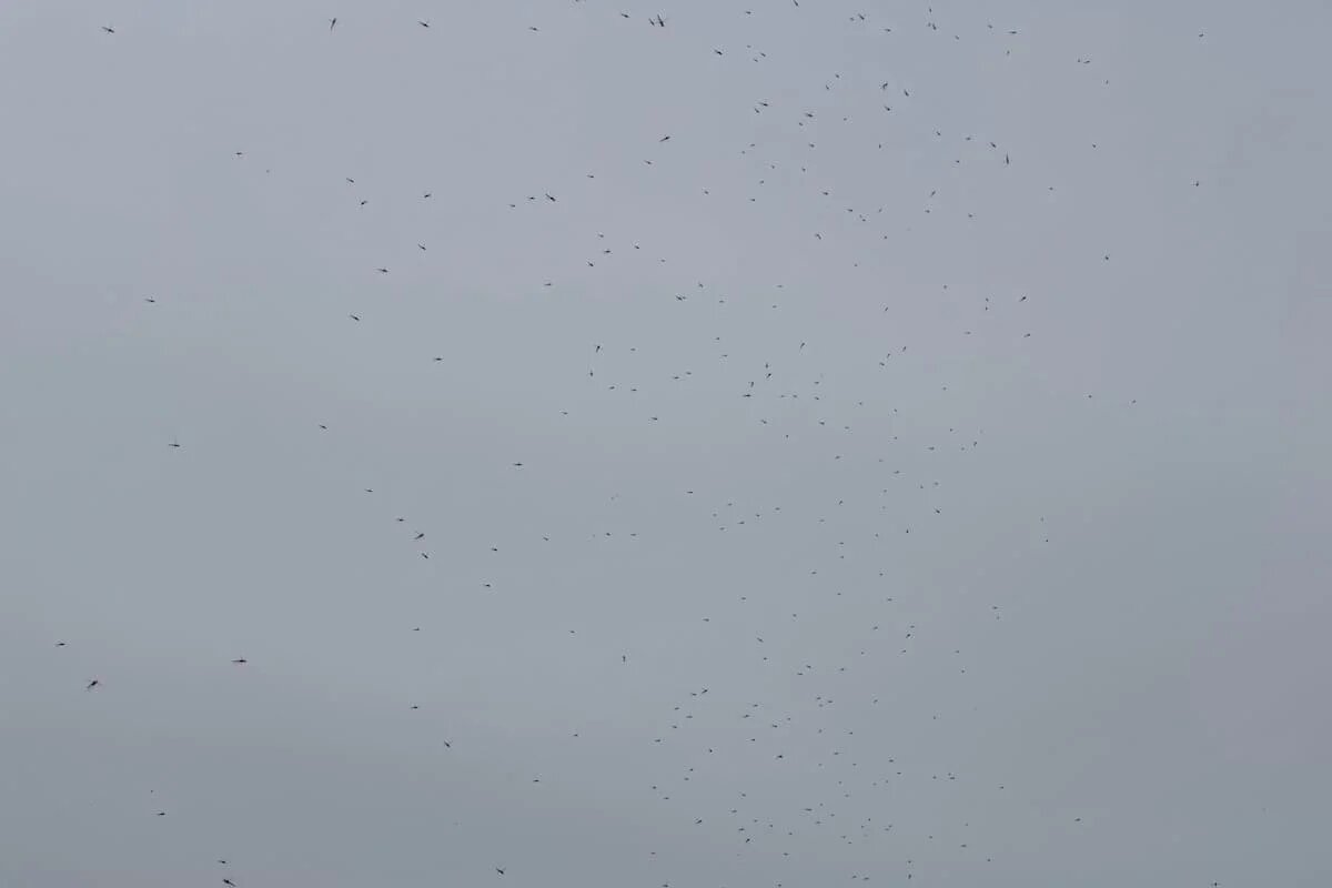 Фото: UfacityNews.ru