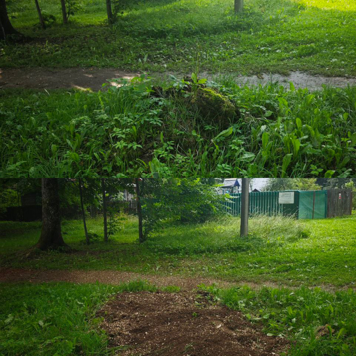 Фрезерование пней — когда решение проще, чем кажется