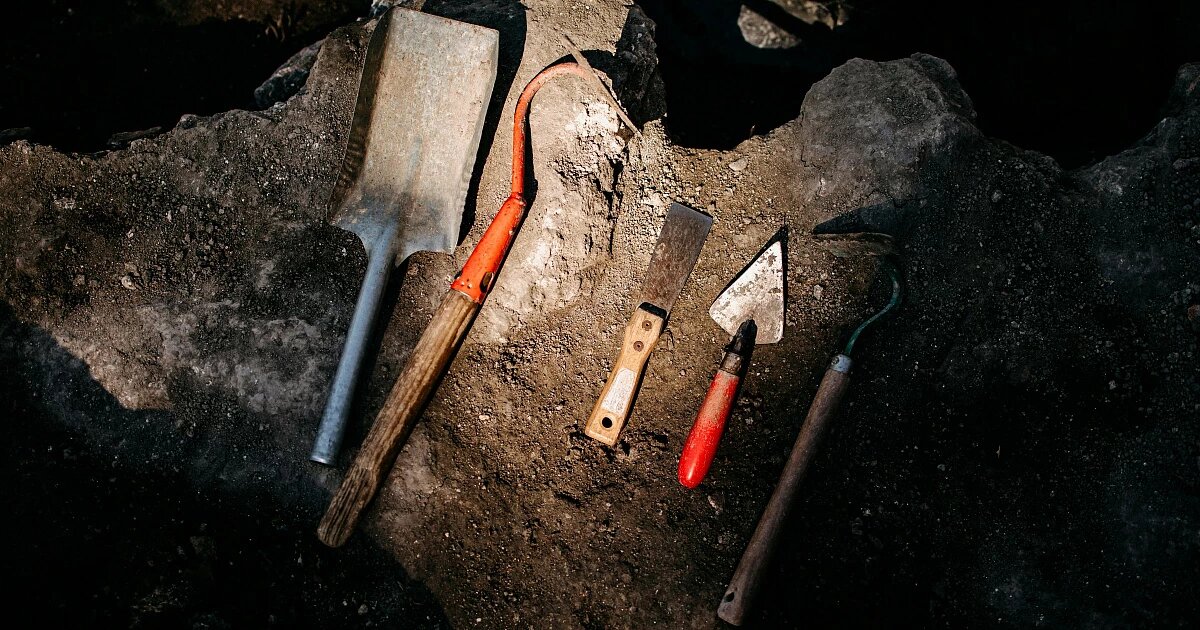 Фото: Trnava University / Unsplash