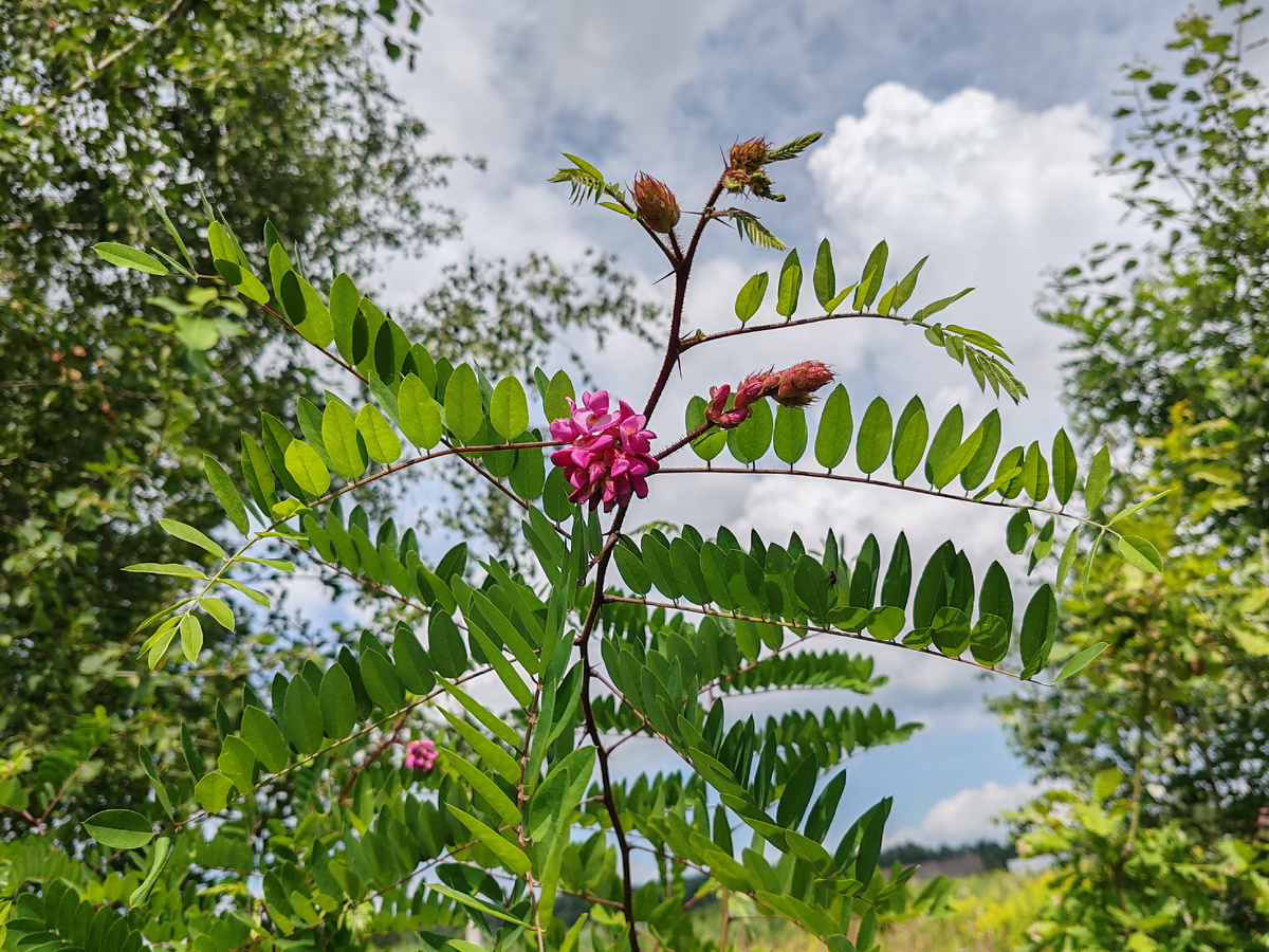 Фото автора канала. 