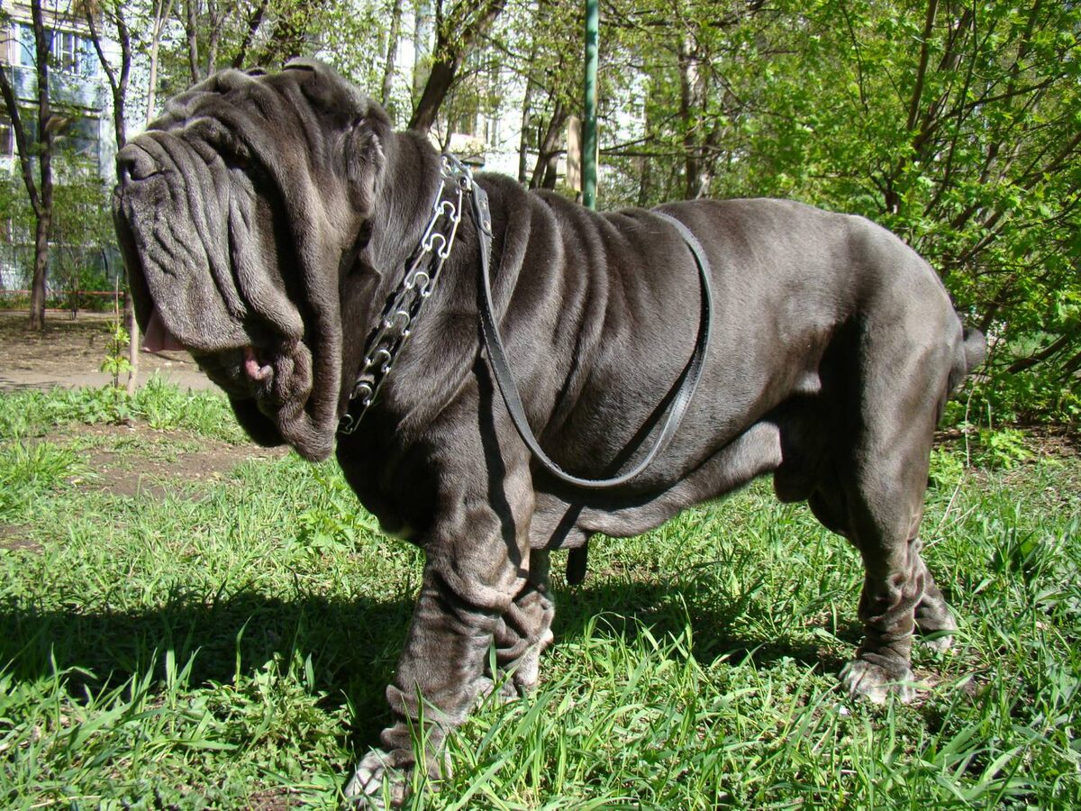 Это удивительно!