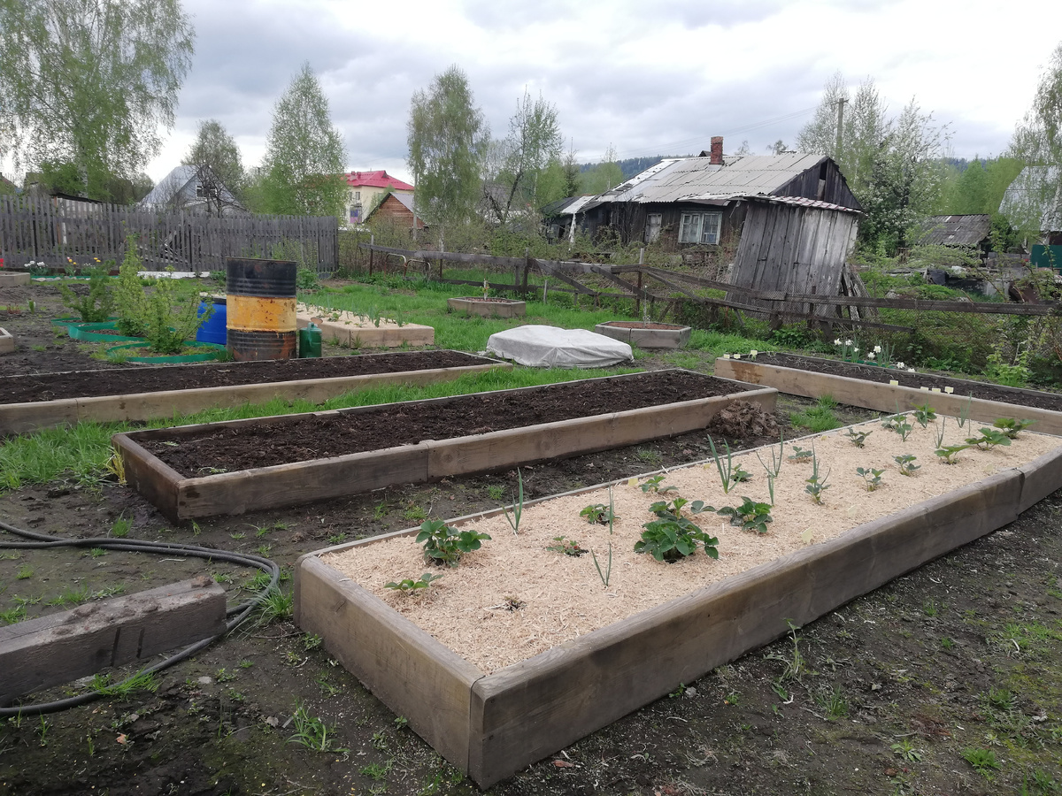 Май 2021 года, стоит одна железная бочка посреди участка.