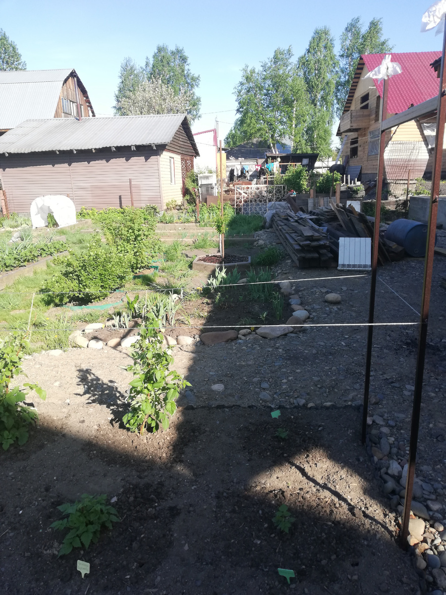 Май 2022 года. Участок пока больше напоминает помойку, на которой описываемую бочку сложно найти.