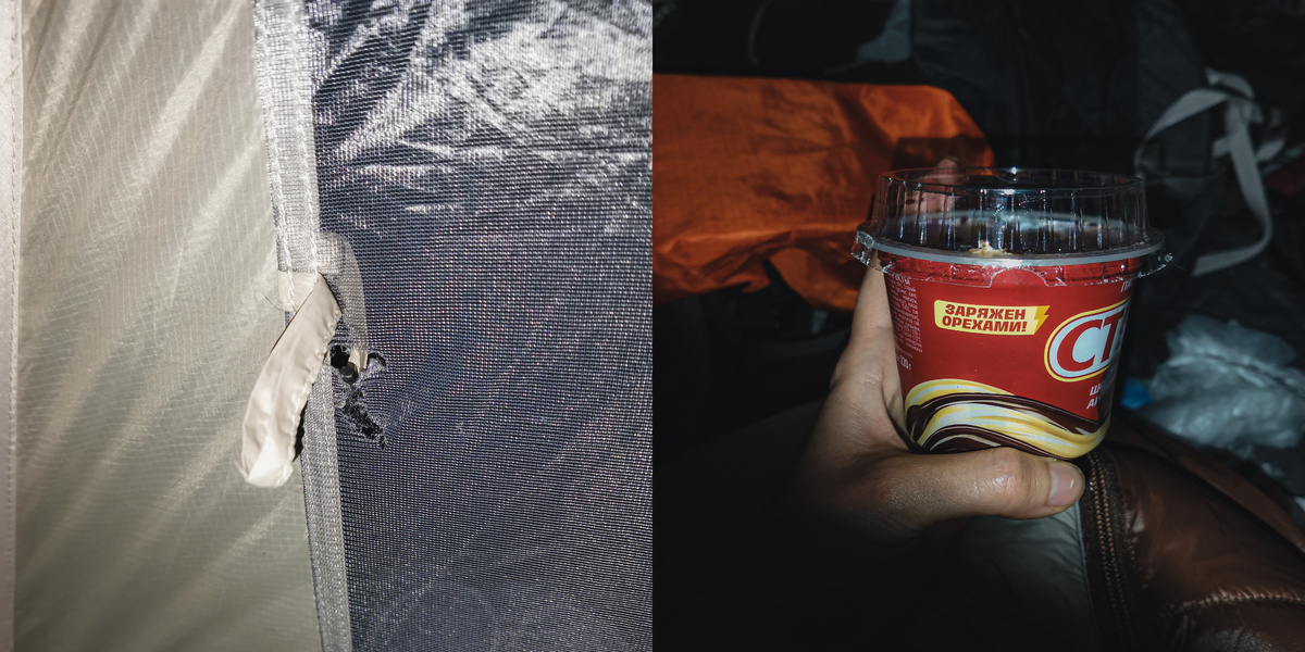 Мышиные проделки