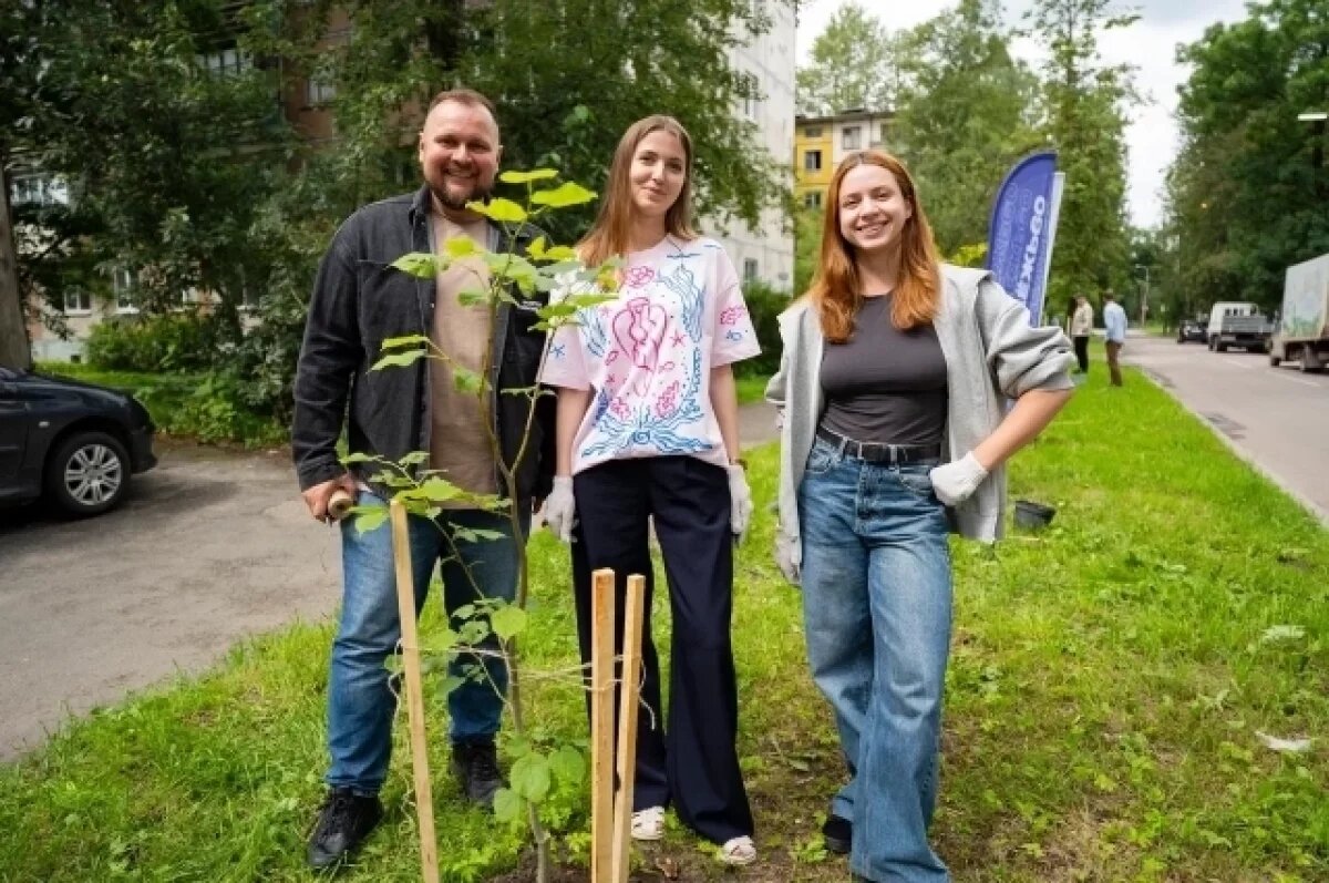    12 лип высадили в Пскове в честь Дня города