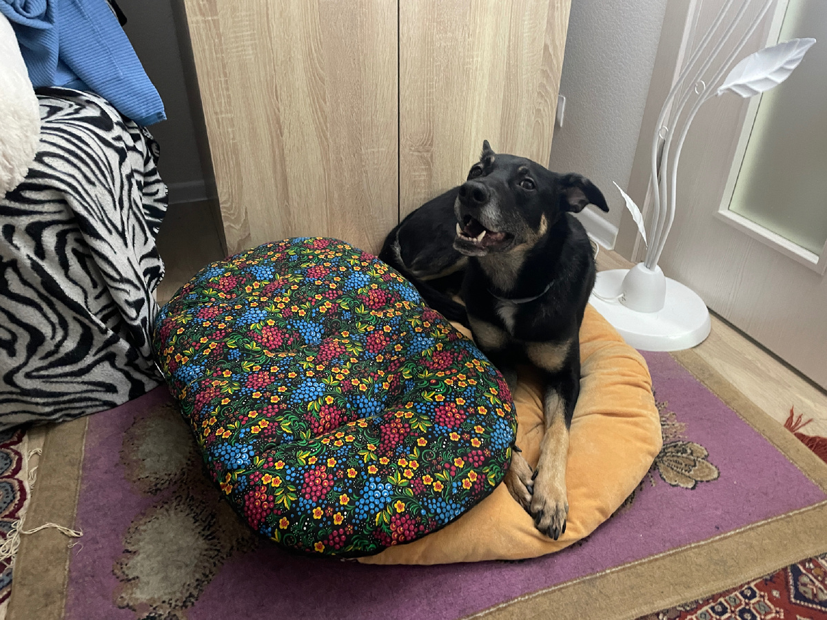 Одна из первых моих фоточек 🥰 Тут я уже немного привык ко всем :)