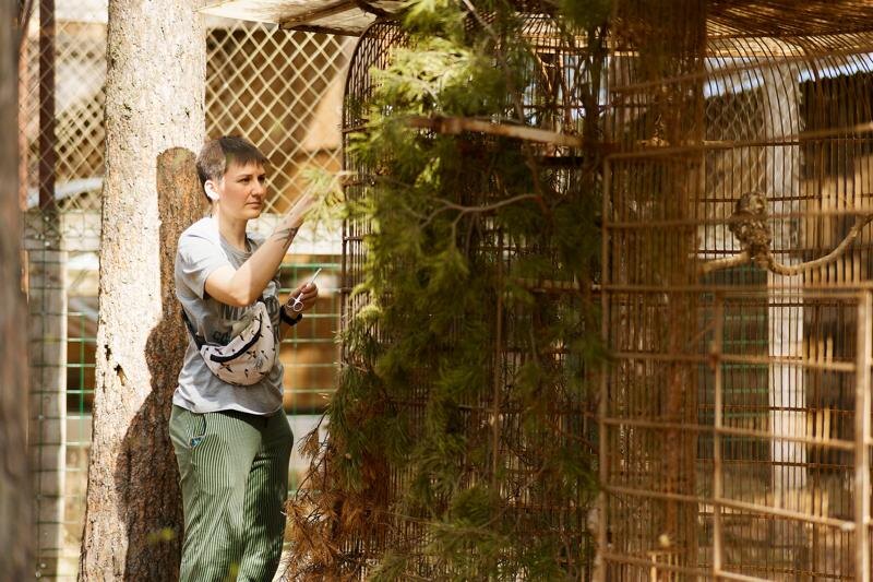    Пресс-служба «ВИЗ-Стали»