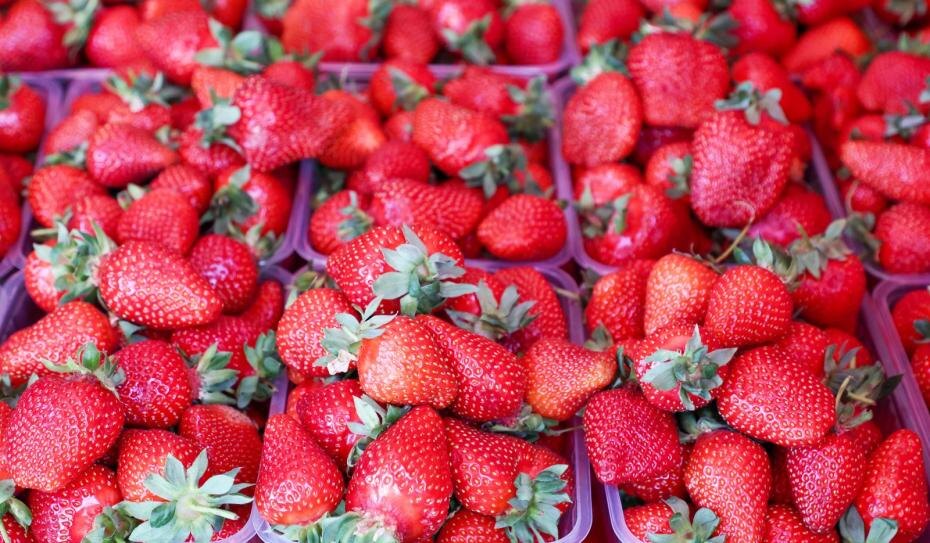    Алексей Белкин/NEWS.ru