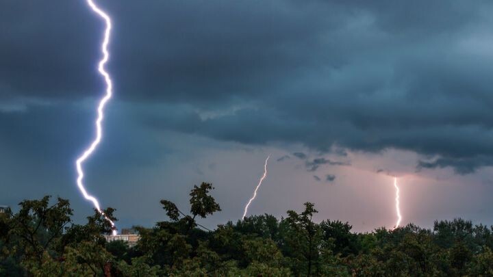    Фото: wirestock с сайта freepik.com