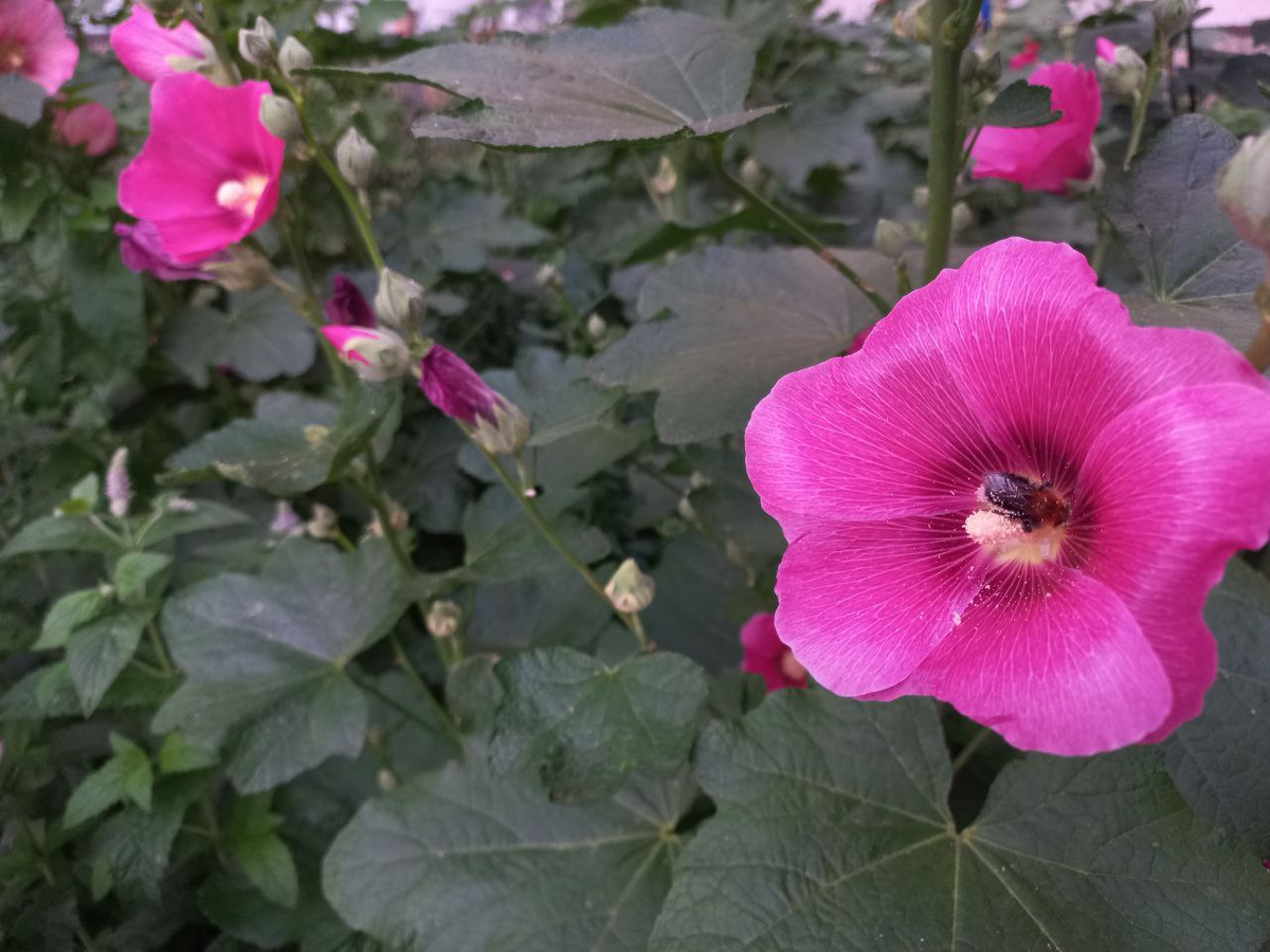 Фото автора.