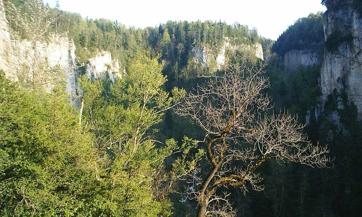    Фото Анастасии Лотниковой, «Кубань 24»