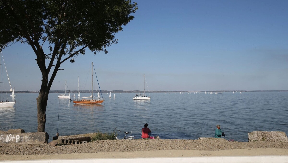     Автор: donland.ru