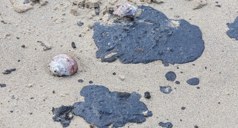    Belkin Alexey/news.ru / www.globallookpress.com