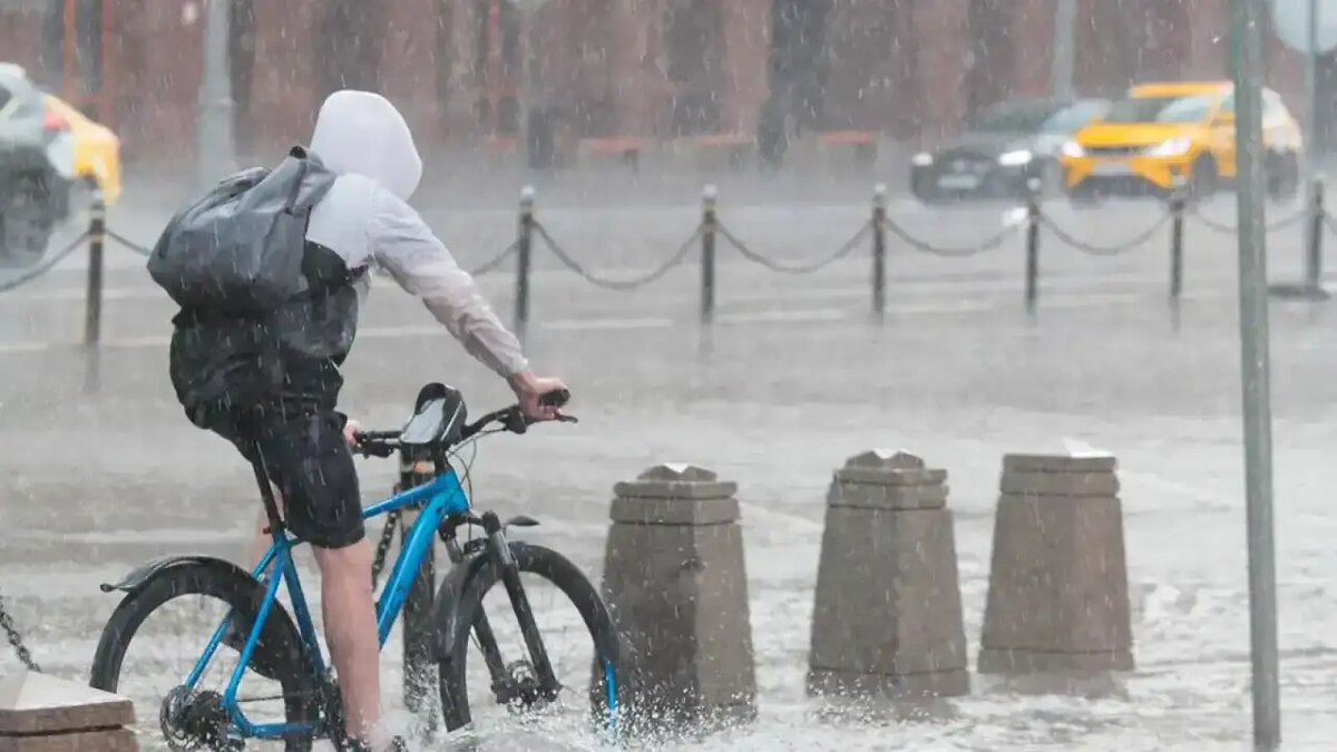    Погода в Москве.