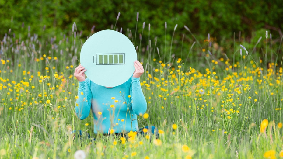     Здесь и далее фото ShutterStock/Fotodom.ru