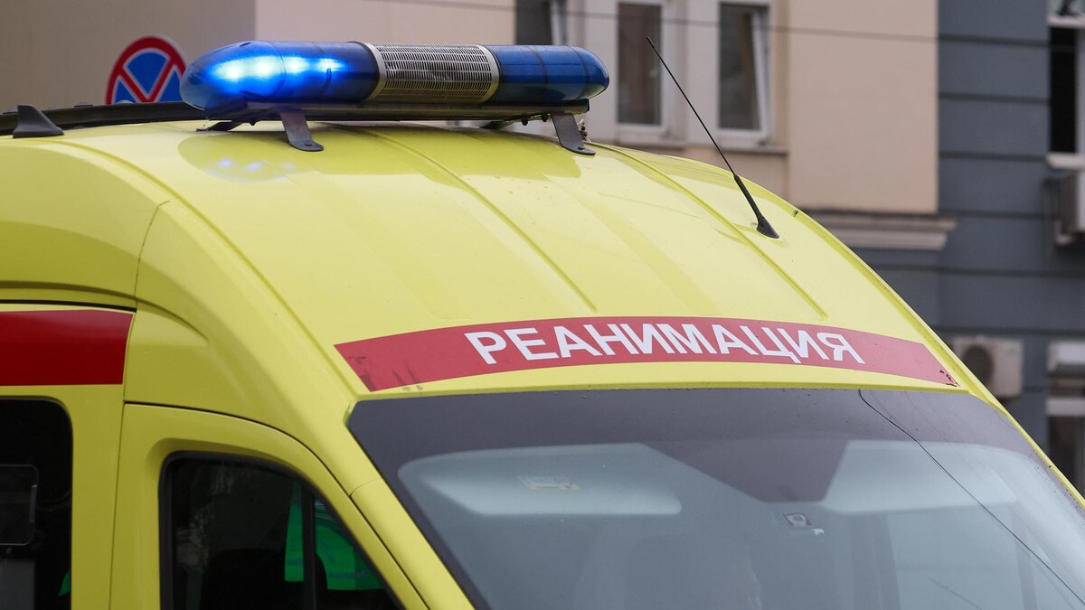    Фото: Belkin Alexey/globallookpress.com