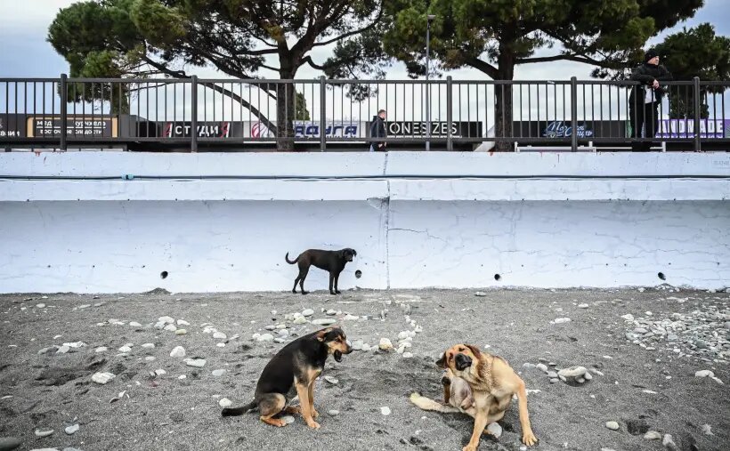     © РИА Новости. Рамиль Ситдиков